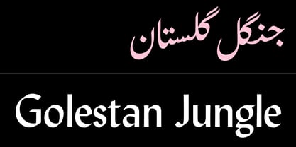 Behnaz Font Poster 9